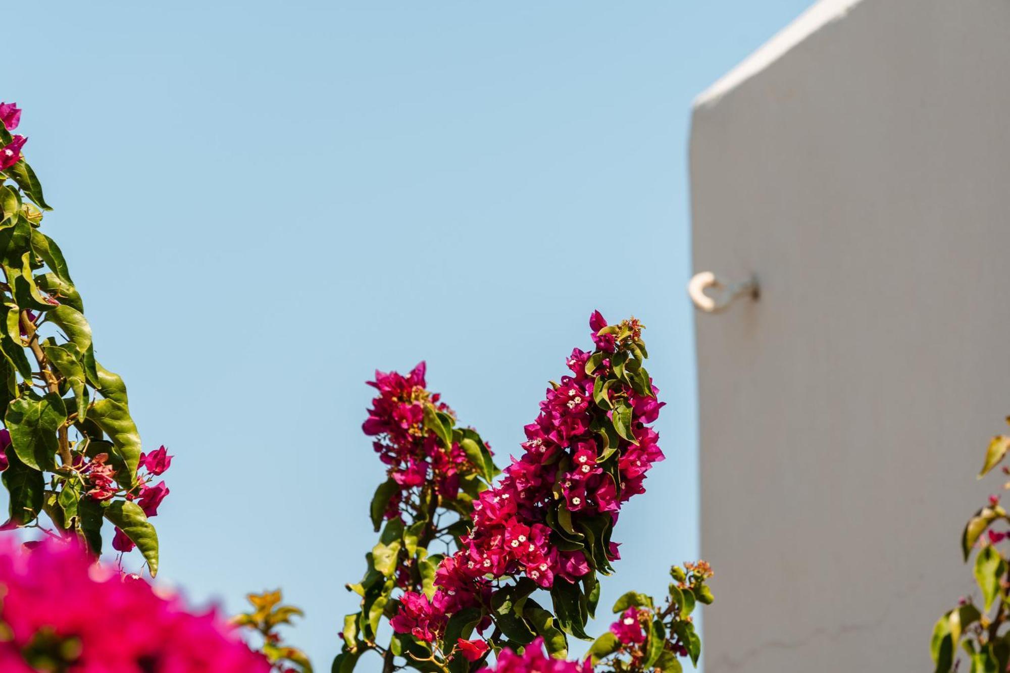 Rosabella Home Naxos City Dış mekan fotoğraf